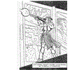 Star (18)