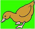 Swan4