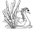 Takla Org Swan