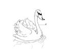 Swan 2888