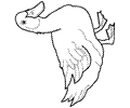 Swan3