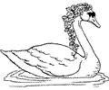 Swan5
