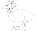 Swan7