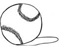 Tennis Ball