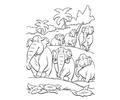 The Indian Elephant