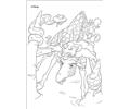 The Wild N 49 43073