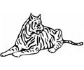 40 Free Tiger Coloring Pages Lrg