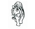 41 Tiger Coloring Pages Free Lrg