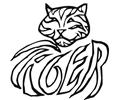 Lionsandtigers (7)