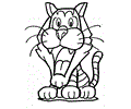 Tiger Coloring 14