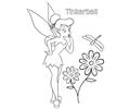 Tinkerbell Flower