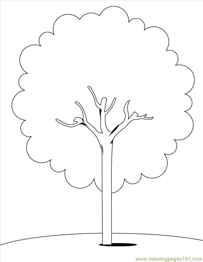 Cherry Tree Coloring Pages