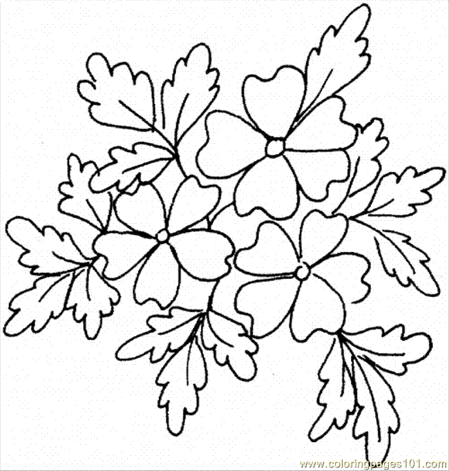 oak tree coloring pages - photo #46