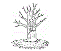 Coloring Trees1