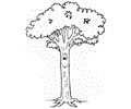 Coloring Tree12