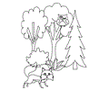 Coloring Tree16