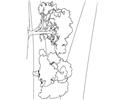 Trees (6)