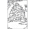 Pine Tree 18