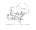 Tree Coloring Page Source 8dk