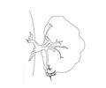 Tree Coloring Page Source Ipe