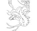 Treesnake
