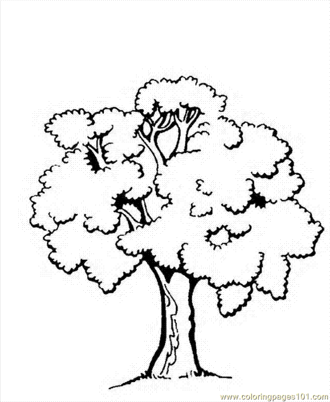 Coloring Pages Trees 00 (3) (Natural World > Trees) - free printable