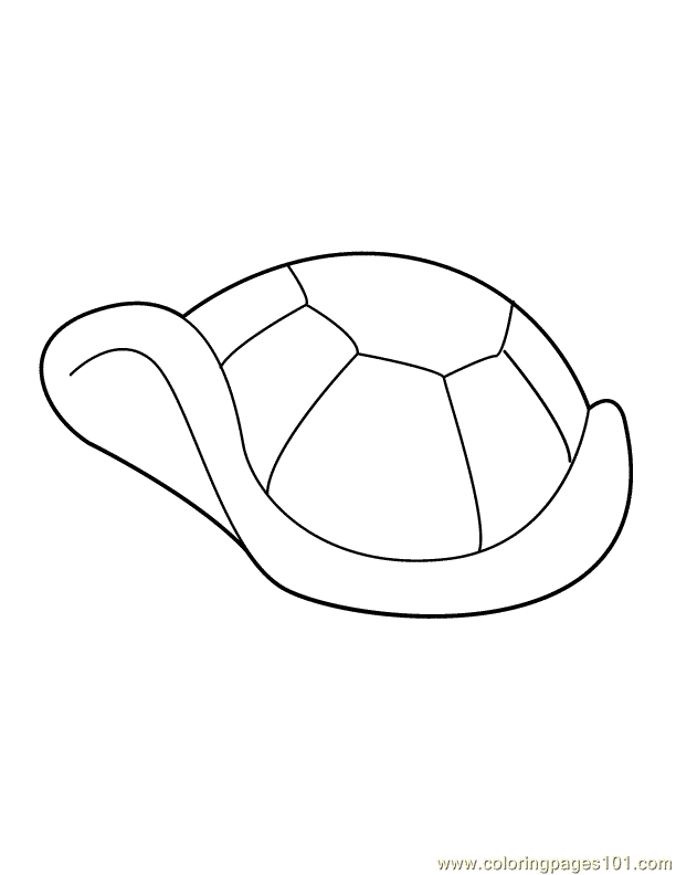 galapagos coloring pages turtle - photo #42