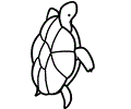 Turtle Coloring Pages 10