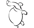 Turtle Coloring Pages  02