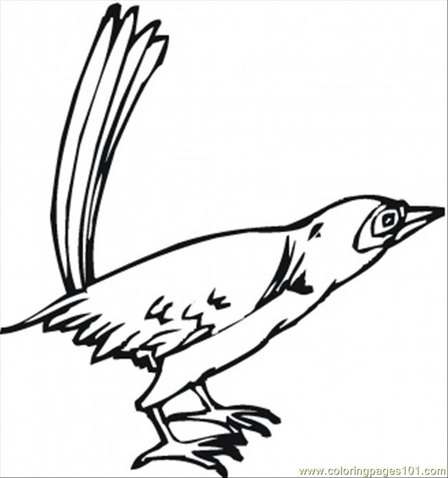 california state bird coloring pages - photo #13