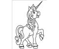 Unicorns007