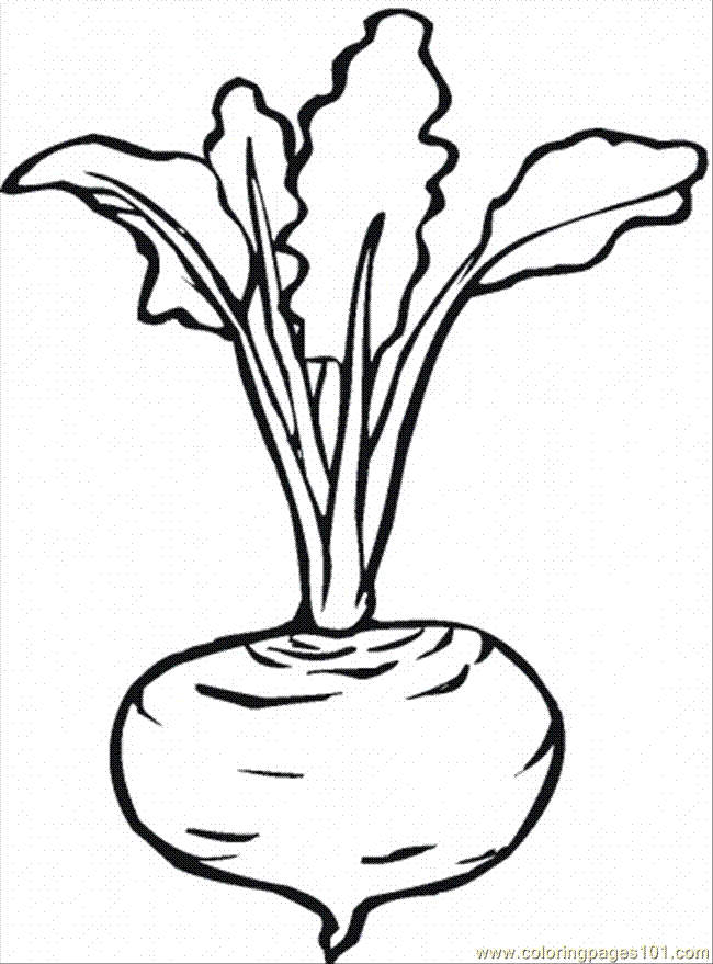 free printable coloring image Beetroot 7