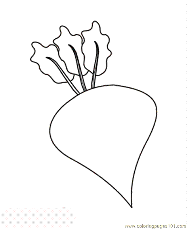 free printable coloring image Beetroot