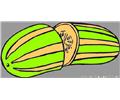 Cucumber 1
