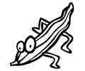 Luffa