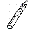 Asparagus 2