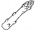 Asparagus 6