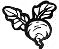 Beetroot 6