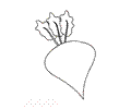 Beetroot