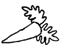 Carrot 14