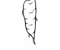 Carrot 16