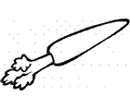 Carrot 24