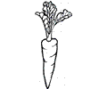 Carrot 25