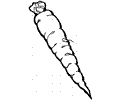 Carrot 3