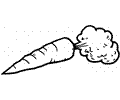 Carrot 4