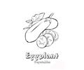 Eggplant