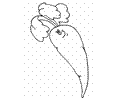 Vegetable Coloring Page 01