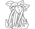 Vegetable Coloring Page 04
