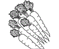 Vegetable Coloring Page 05