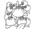Vegetable Coloring Page 06